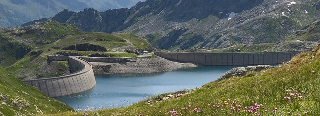 Wild flowers (Armeria arenaria ssp. arenaria, also called Jersey Trift) in the alpine pastures surrounding Naret Lake, Lepontine Alps in southern Switzerland, Canton of Ticino, near the city of Locarno and the famous tourist destination Lake Maggiore.