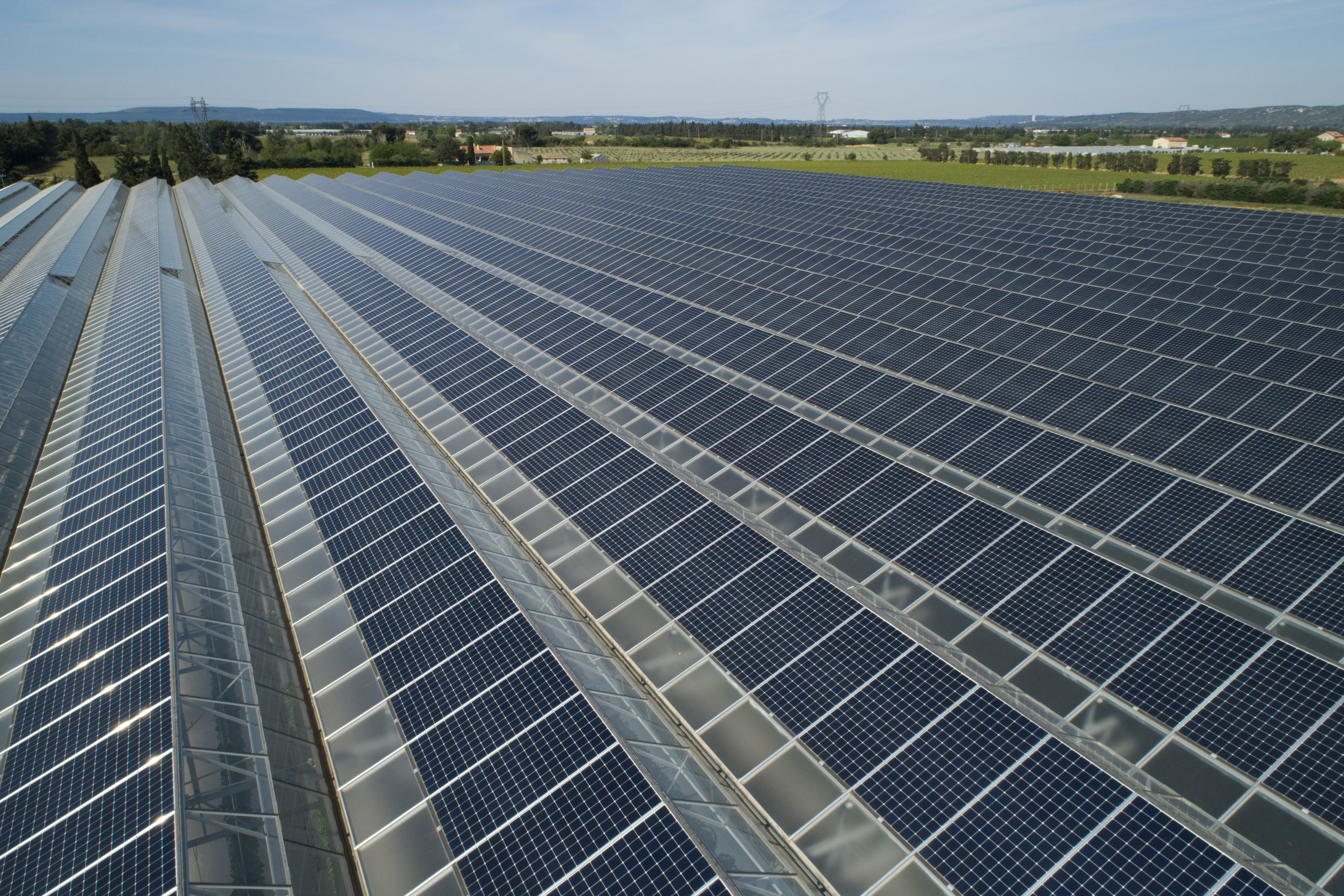 Auch bei Agri-PV kennen wir uns aus: wie hier bei einer PV-Überdachung eines Gewächshauses