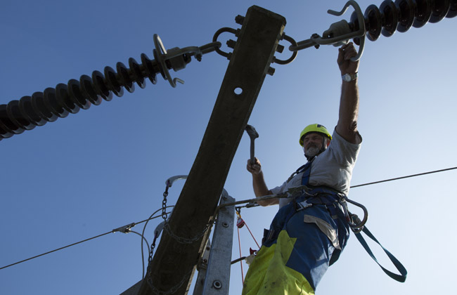 Ladder with fall protection systems for the linemen