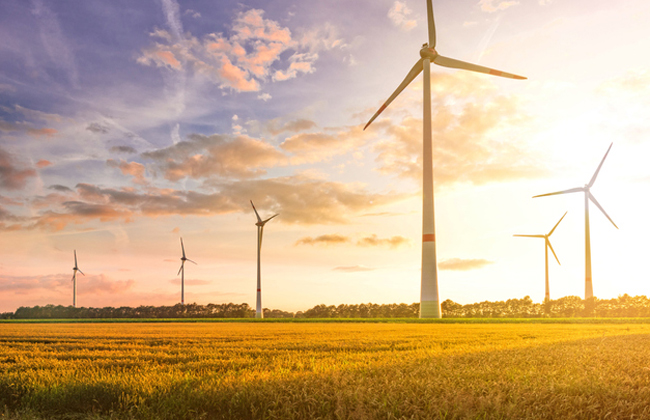 Axpo ist die grösste Vermarkterin von erneuerbaren Energien in Europa