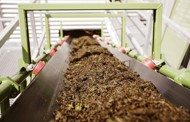 Axpo is also strong in biomass: Axpo is the largest player in the Swiss market
