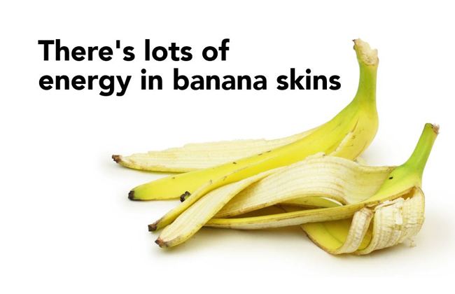 Banane: Und: Pro Tonne Bioabfälle, die von Axpo verwertet werden, reduzieren sich die CO2-Emissionen um rund 200 Kilogramm. Durch das Sammeln und Verwerten von Bioabfällen kann insgesamt die Ökobilanz verbessert werden