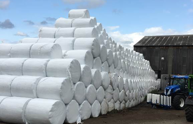 A lot of garden waste, vegetable peelings and food scraps are packed in silo bales during the summer months