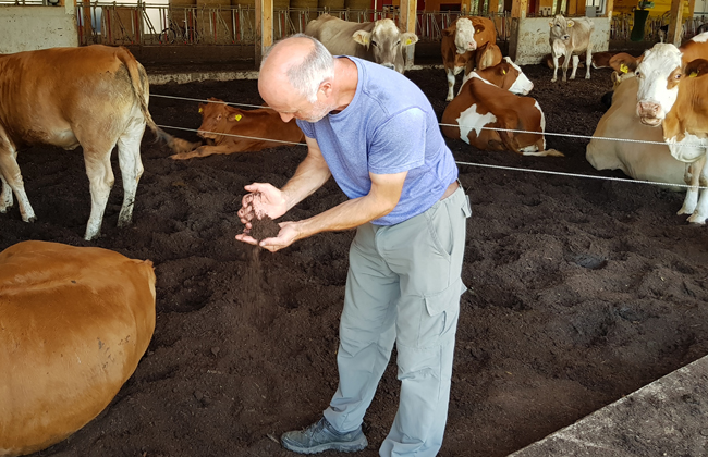 Peter Jampen is happy with the results from the Axpo compost bedding, which he has been using in his barn for over a year.