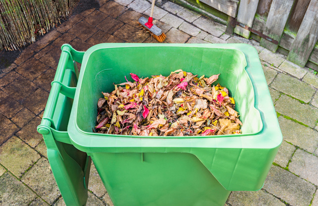 Garden waste: Lawn and field cuttings, bush and tree cuttings, flower and vegetable shrubs, leaves, weeds, and fallen fruit, balcony and potted plants (without the pots)