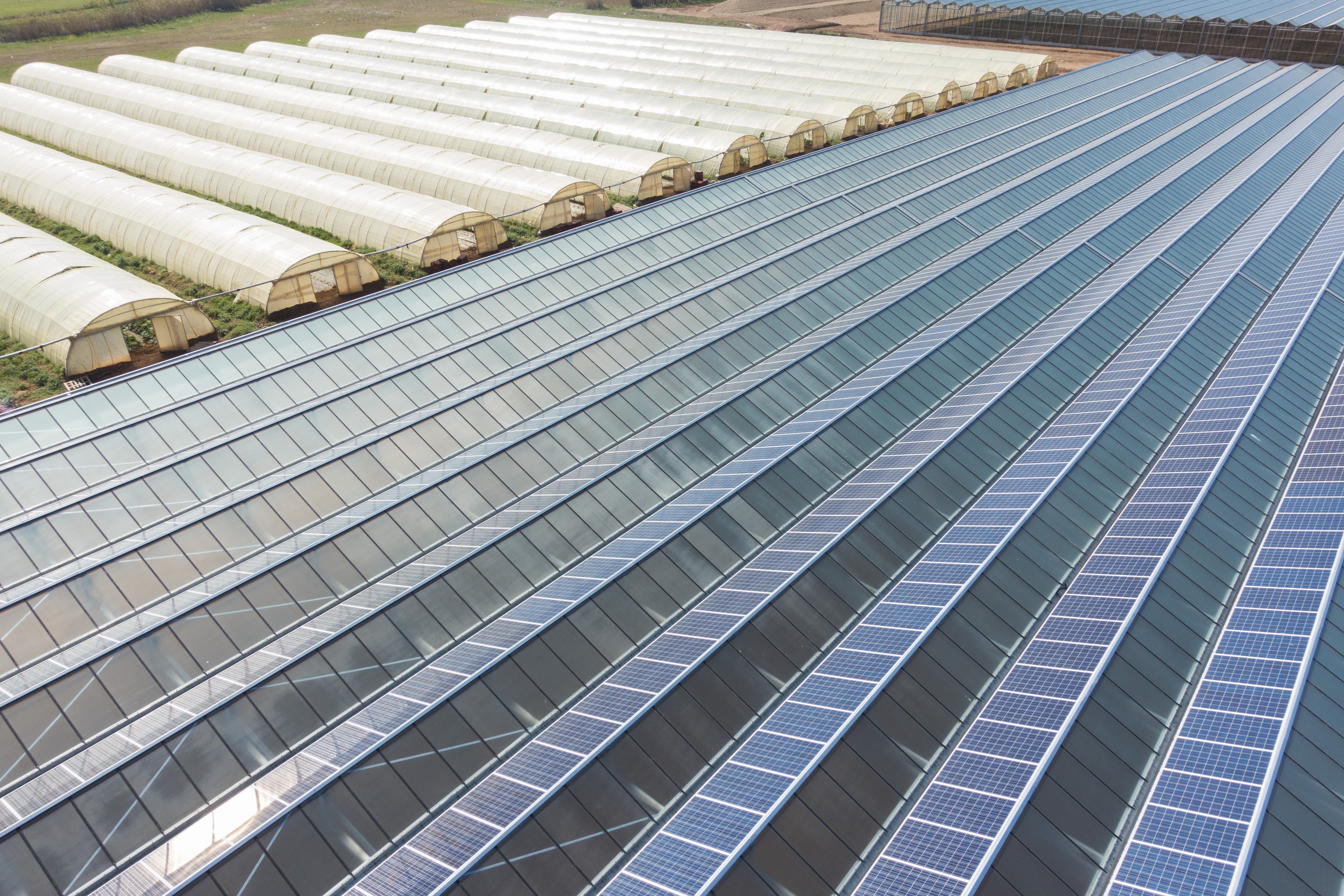 Photovoltaic greenhouses produce green electricity, protect plants from weather and optimise working conditions.