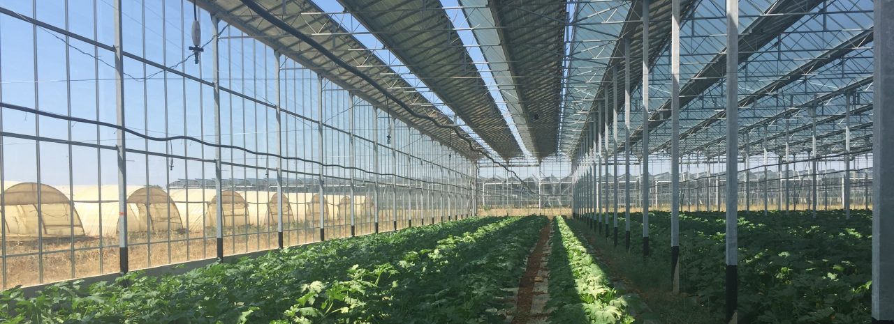 Greenhouse solar discount